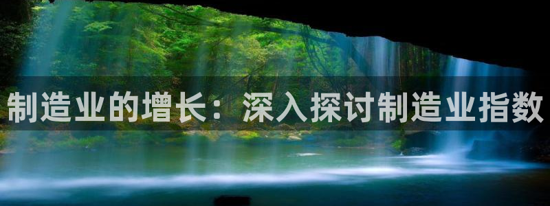 彩神8官网版：制造业的增长：深入探讨制造业指数