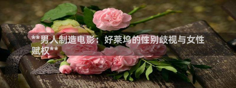 大发彩神争：**男人制造电影：好莱坞的性别歧视与女性
赋权**