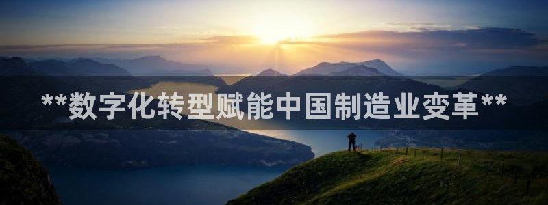 彩神赢的钱是哪里来的啊：**数字化转型赋能中国制造业变革**