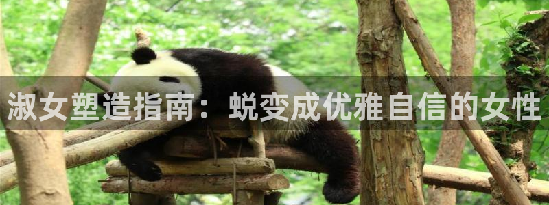 彩神赢钱了吗：淑女塑造指南：蜕变成优雅自信的女性
