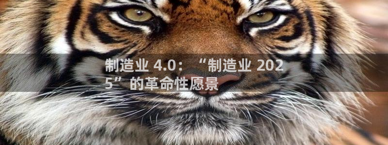 彩神8彩平台：制造业 4.0：“制造业 202
5”的革命性愿景