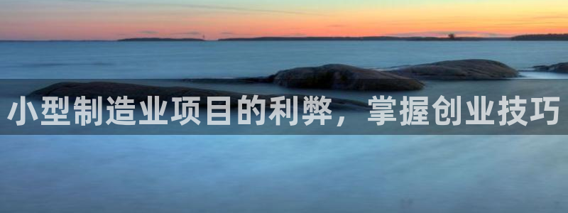 彩神大发云：小型制造业项目的利弊，掌握创业技巧
