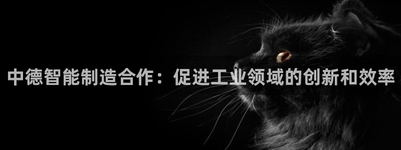 彩神8购彩-购彩大厅：中德智能制造合作：促进工业领域的创新和效率