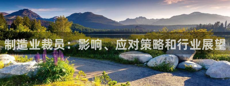 彩神v8手机客户端怎么下载：制造业裁员：影响、应对策略和行业