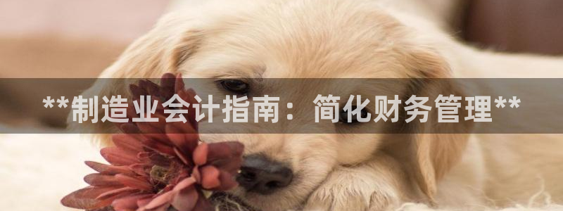彩神v天天：**制造业会计指南：简化财务管理**