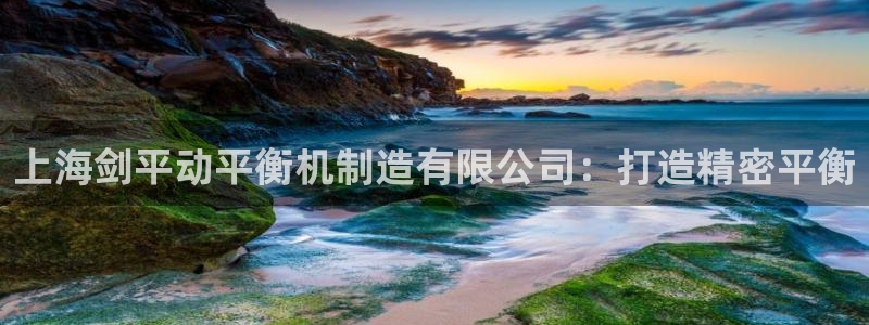 彩神app赚钱是真是假：上海剑平动平衡机制造有限公司：打造精