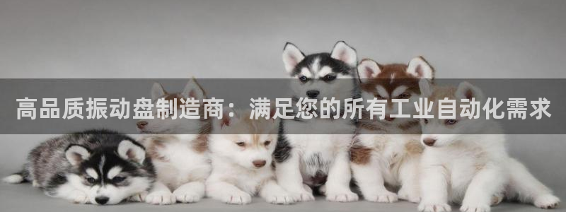 彩神8彩平台官网：高品质振动盘制造商：满足您的所有工业自动化