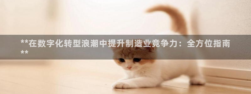 彩神平台之间是什么关系：**在数字化转型浪潮中提升制造业竞争力：全方位指南
**