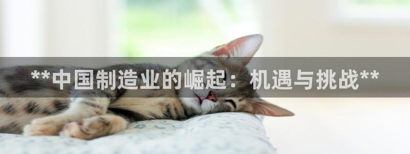 彩神v破解版