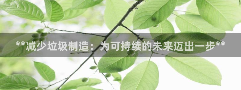 彩神ⅴll是什么样平台：**减少垃圾制造：为可持续的未来迈出一步**