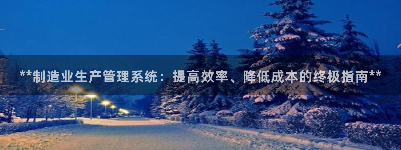彩神系列平台：**制造业生产管理系统：提高效率、降低成本的终极指南**
