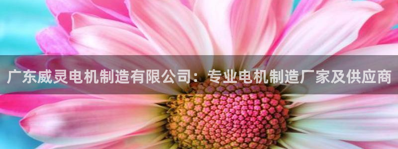 下载彩神通关注码