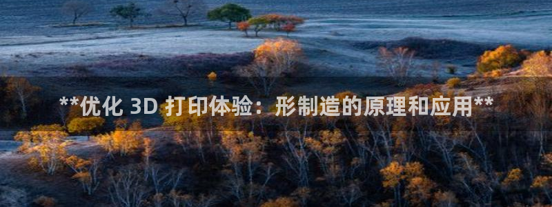 彩神v违法么：**优化 3D 打印体验：形制造的原理和应用**
