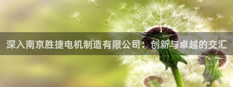 彩神怎么才能赢：深入南京胜捷电机制造有限公司：创新与卓越的交汇