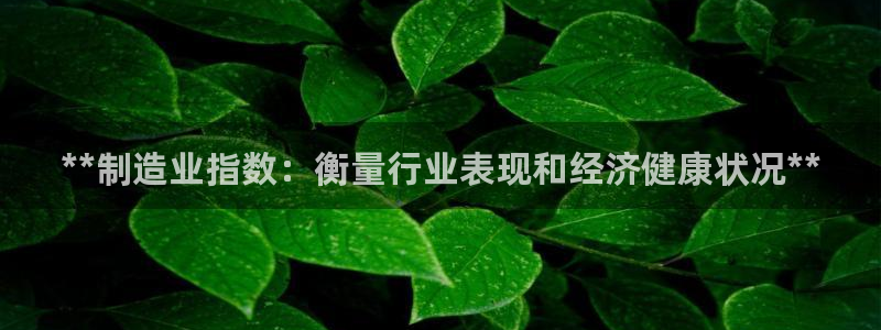 彩神是正规平台吗：**制造业指数：衡量行业表现和经济健康状况**