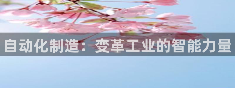 彩神输的钱是赌博还是诈骗：自动化制造：变革工业的智能力量