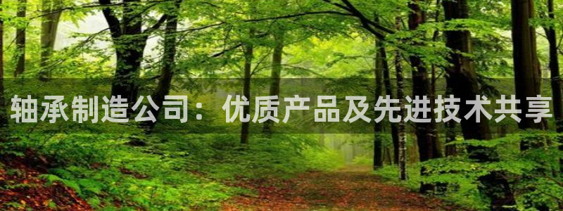 彩神v8官网版：轴承制造公司：优质产品及先进技术共享