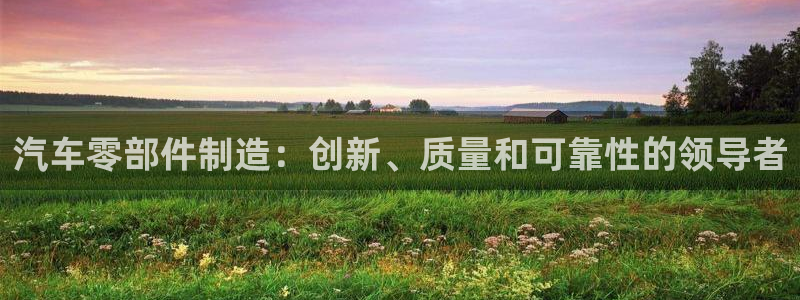 下载彩神v8：汽车零部件制造：创新、质量和可靠性的领导者
