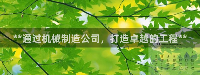 彩神V集团有限公司：**通过机械制造公司，打造卓越的工程**