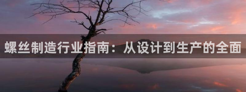 彩神网官网登录：螺丝制造行业指南：从设计到生产的全面