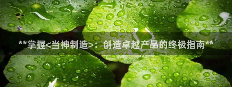 彩神是真的吗：**掌握<当神制造>：创造卓越产品的终极指南**