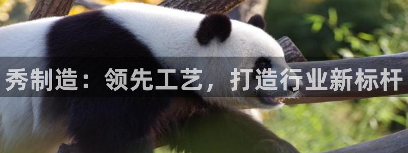 所有彩神购买首页都一样吗：秀制造：领先工艺，打造行业新标杆
