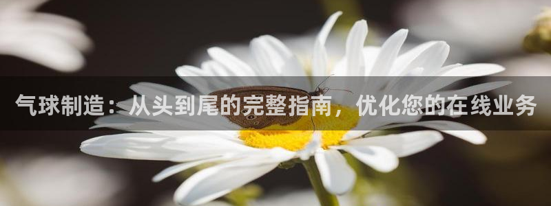 彩神数码科技有限公司：气球制造：从头到尾的完整指南，优化您的在线业务