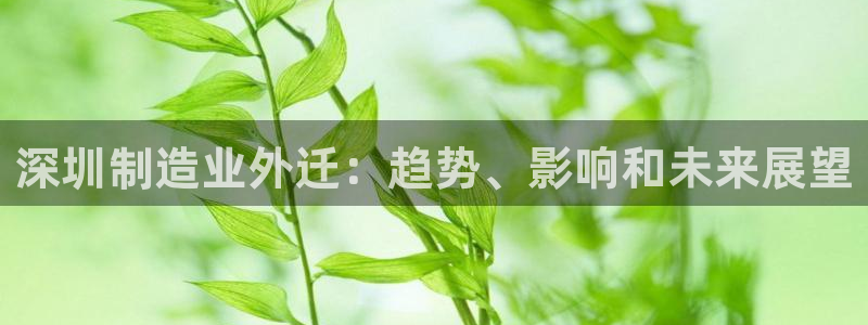 彩神v8手机客户端：深圳制造业外迁：趋势、影响和未来展望