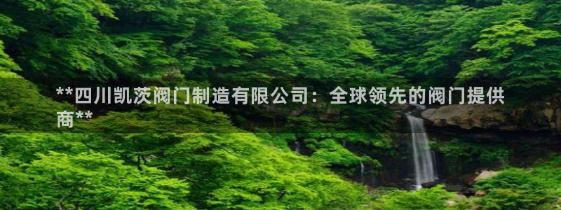 彩神V集团有限公司：**四川凯茨阀门制造有限公司：全球领先的阀门提供
商**