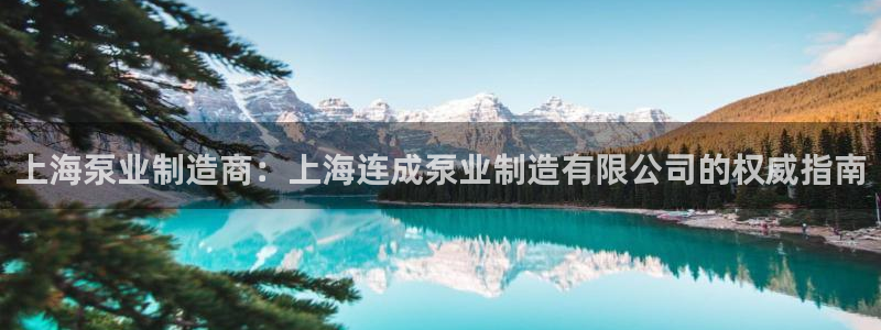 彩神ix可靠吗：上海泵业制造商：上海连成泵业制造有限公司的权