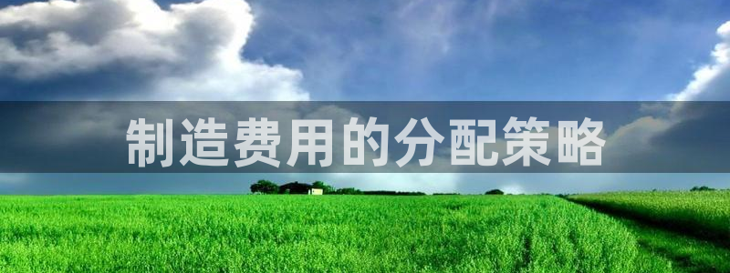 新版彩神v8登录教程：制造费用的分配策略