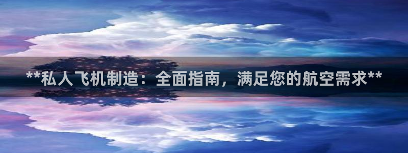彩神赢的钱是哪里来的：**私人飞机制造：全面指南，满足您的航空需求**