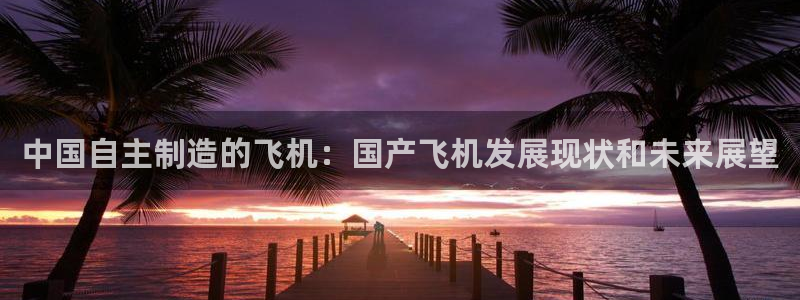 彩神viii是正规平台吗?：中国自主制造的飞机：国产飞机发展
