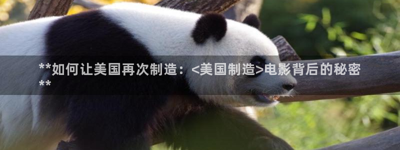 彩神怎么样可以提现：**如何让美国再次制造：<美国制造>电影
