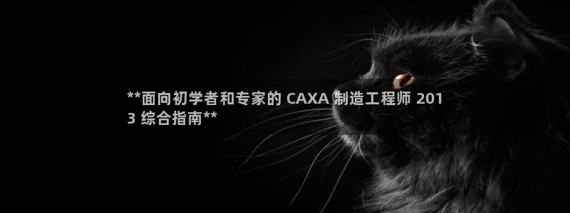 彩神vll首页：**面向初学者和专家的 CAXA 制造工程师 201
3 综合指南**