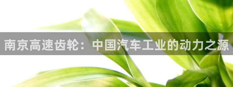 彩神网能赚钱是怎么回事：南京高速齿轮：中国汽车工业的动力之源