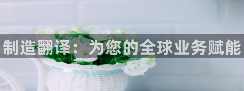 新版彩神v8登录不上去：制造翻译：为您的全球业务赋能