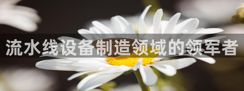 彩神V集团有限公司