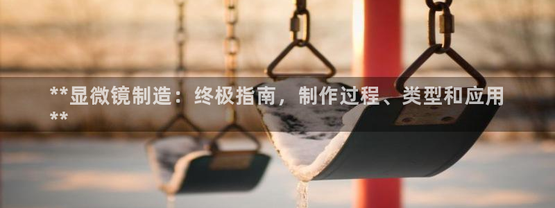 彩神争霸官网登录平台：**显微镜制造：终极指南，制作过程、类型和应用
**