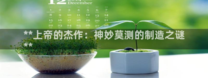 彩神v8几个版本：**上帝的杰作：神妙莫测的制造之谜
**