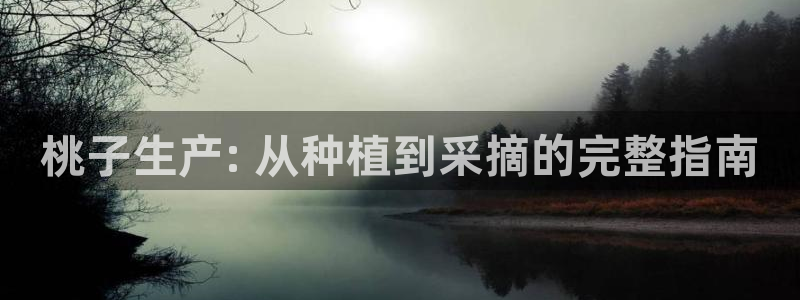 所有彩神购买首页：桃子生产: 从种植到采摘的完整指南