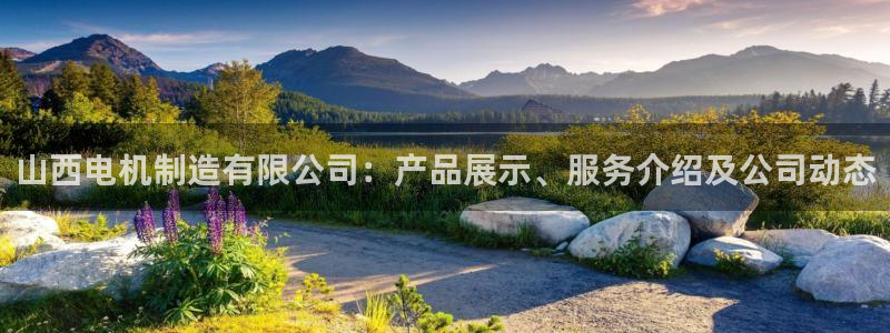 彩神官方邀请码是多少：山西电机制造有限公司：产品展示、服务介绍及公司动态