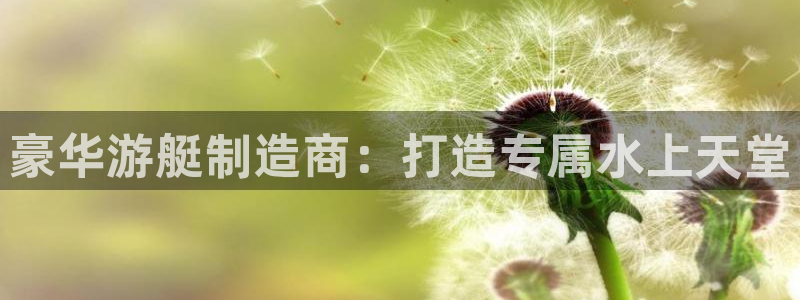 彩神app能挣到钱吗：豪华游艇制造商：打造专属水上天堂