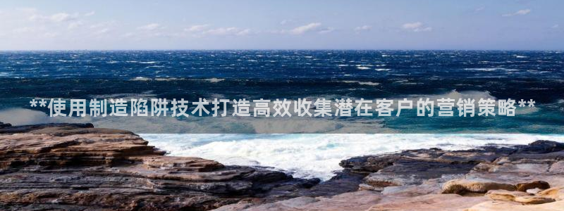 彩神v8app：**使用制造陷阱技术打造高效收集潜在客户的营销策略**