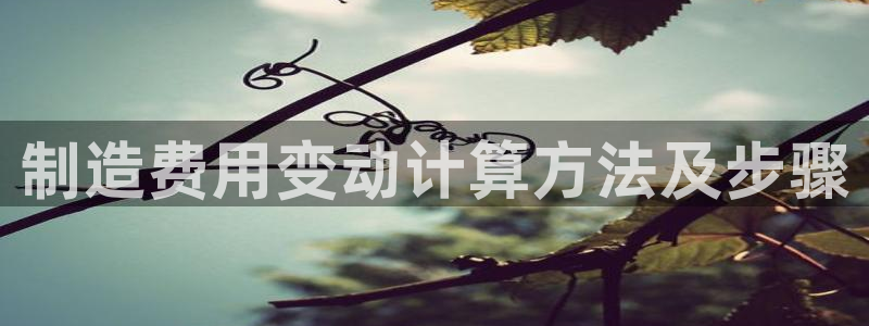 彩神v8几个版本：制造费用变动计算方法及步骤