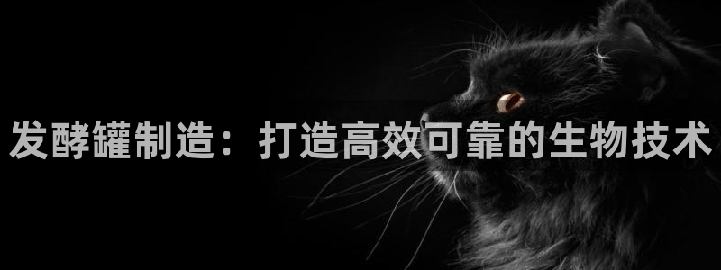 彩神平台是真的吗：发酵罐制造：打造高效可靠的生物技术