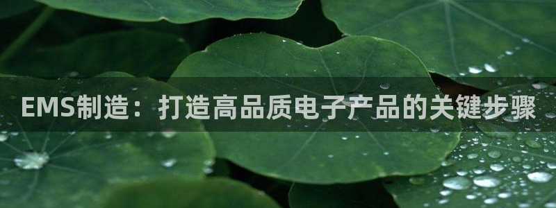彩神官方邀请码是多少：EMS制造：打造高品质电子产品的关键步骤