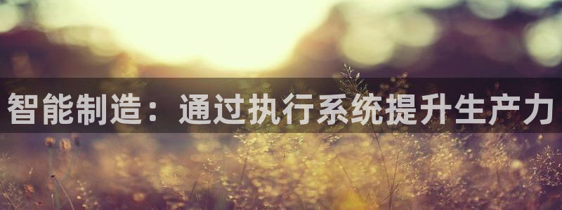 彩神盈利图片：智能制造：通过执行系统提升生产力