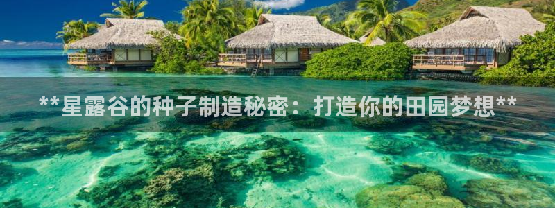 彩神争霸官方登录：**星露谷的种子制造秘密：打造你的田园梦想**