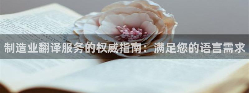下载彩神v8：制造业翻译服务的权威指南：满足您的语言需求